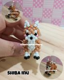 VIDEO AULA SHIBA INU