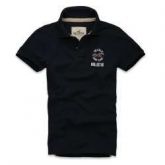 Polo Hollister HO2032