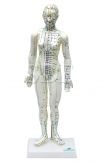 Manequim de Acupuntura Fem. de 50 cm - CS/SD - 5099