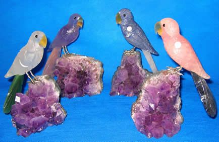 Pequenos pássaros com Base