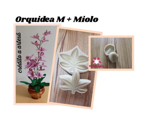 Orquídea M mais o miolo