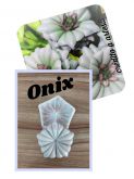 Onix (n-491)