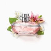 LILLY ABSOLU