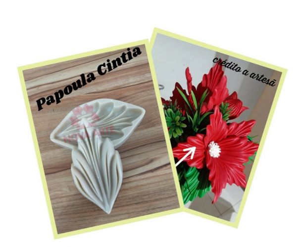 Papoula cintia (cód. 369)