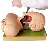 Simulador Adulto P/ Treino de Intubação c/ Visualização de Vias Aéreas-CS/AT/TGD-4007-A