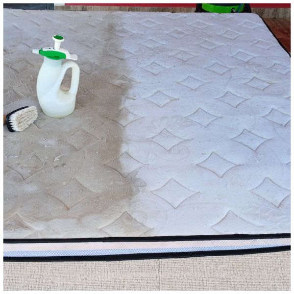 Limpeza Higienização sofá Zona 01 em Maringá!