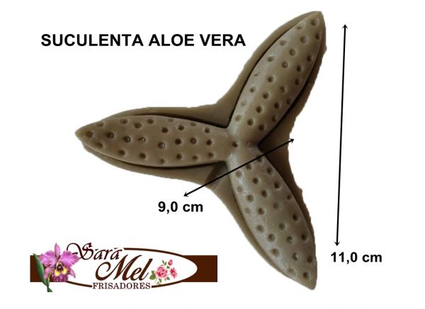 SUCULENTA ALOE VERA