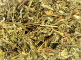 Artemisia 100g