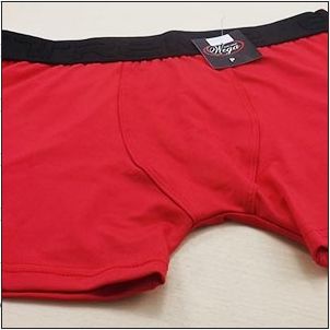 Cueca Boxer Microfibra Adulto