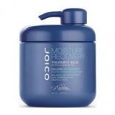 Joico Moisture Recovery