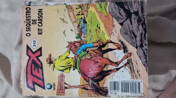 TEX GLOBO MENSAL NR 310