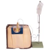 Simulador P/ Treino de Punção e Infusão Lombar-CS/AT/TGD/4009-P