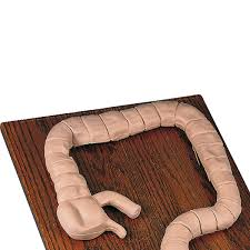 Simulador para Sigmoidoscopia - CS/SK -LF 01084U