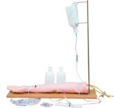 Braço Para Treino de Injeções C/Suporte-CS/ COL 1434