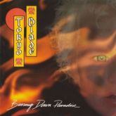 TOKYO BLADE - Burning Down Paradise (Slipcase)