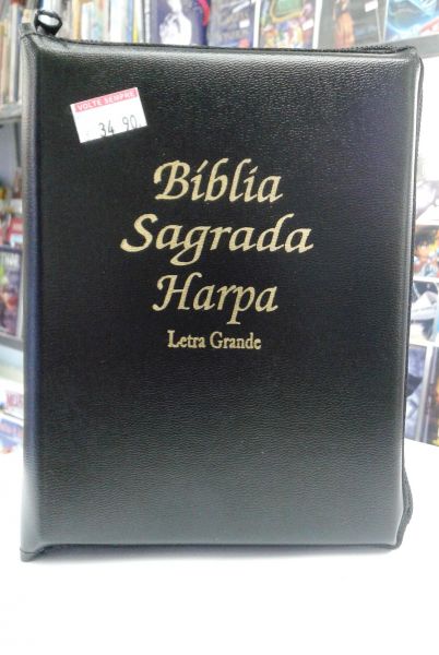 BIBLIA SAGRADA LETRA GRANDE COM HARPA E CORINHOS