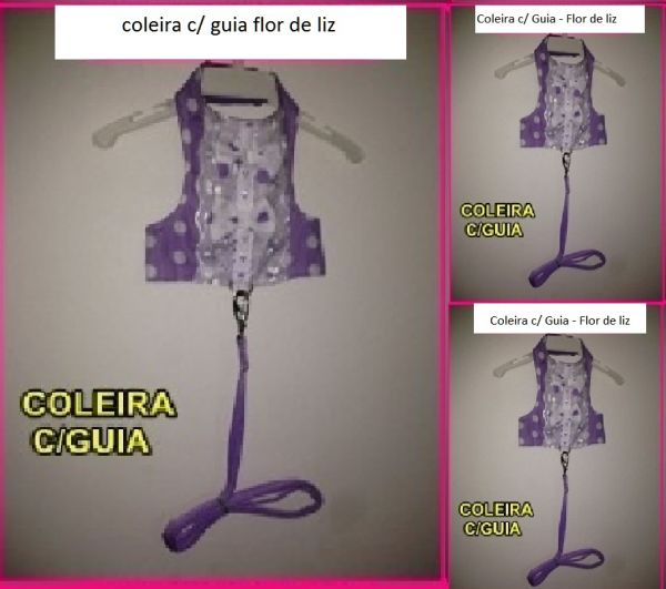 coleiras com guias