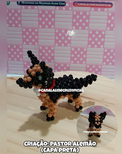 VIDEO AULA PASTOR ALEMÃO