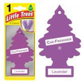 Lavander