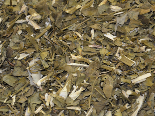 Arruda 100g