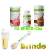 Kit Emagrecedor+ Brindes!