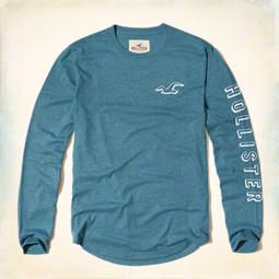 Blusa Hollister Embroidered Logo Graphic Tee