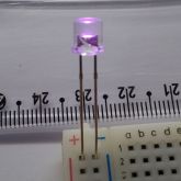 LED Lilás 5mm