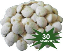 KIT NOZ DA INDIA 30 NOZES – 120 DIAS