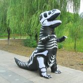 Dinossauro  RF433