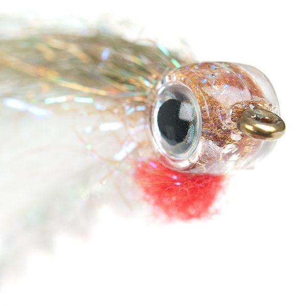 FHD - FISH HEADS