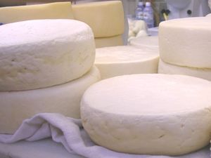 Queijo Minas - KG
