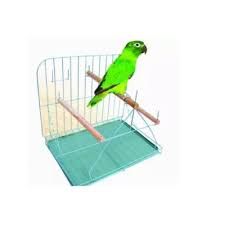 Poleiro duplo para papagaio