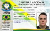 HENRIQUE ALEIXO PEREIRA ALVES