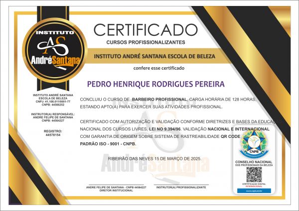 PEDRO HENRIQUE RODRIGUES PEREIRA
