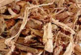 Cajueiro 100g