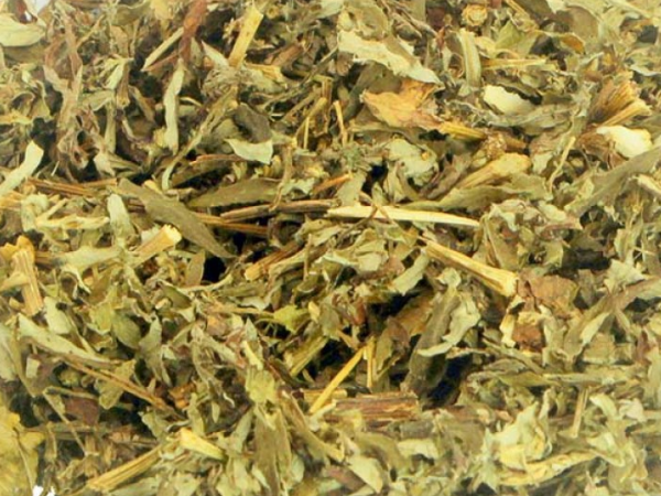 Artemisia 100g