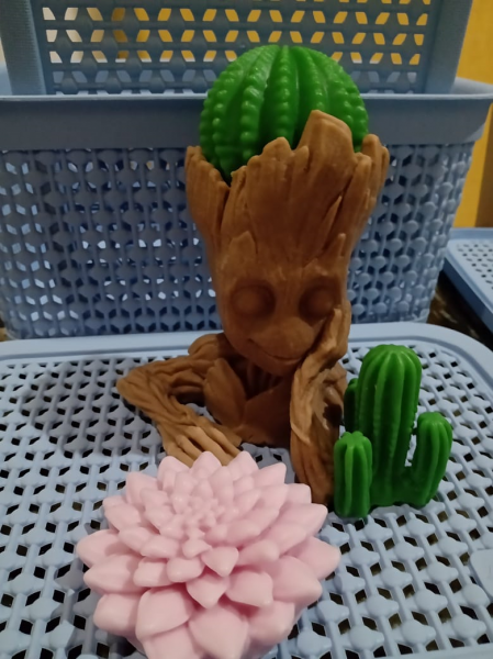 Kit Groot