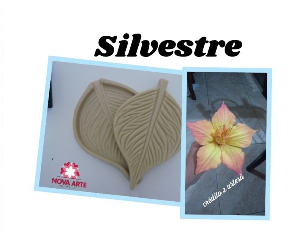 Silvestre