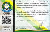 JACKCILENE MORAIS DE MENEZES