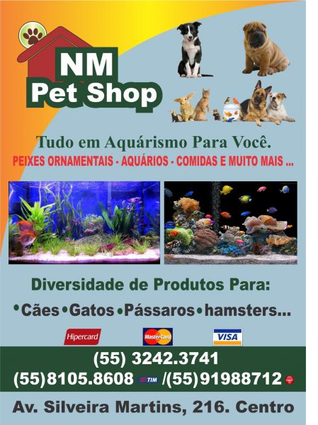 5.000 unidades Panfleto 4 x 4 tamanho 10 x 14