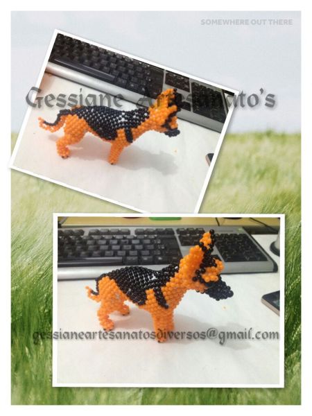 Passo a passo Pastor alemão