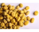 AMENDOIM CROCANTE NATURAL - 500 gramas