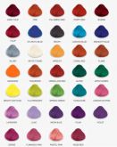 DIRECTIONS HAIR DYE!