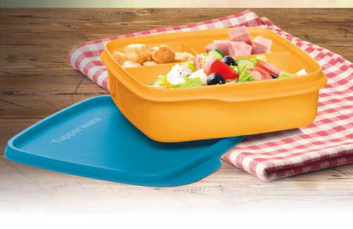 Tupperware Basic Line 550ml Porta Lanche Com Divisórias