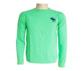 Camisa Abercrombie Manga longa Verde