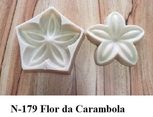Flor da Carambola(n-179)