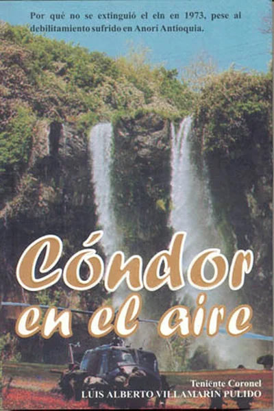 Cóndor en el Aire
