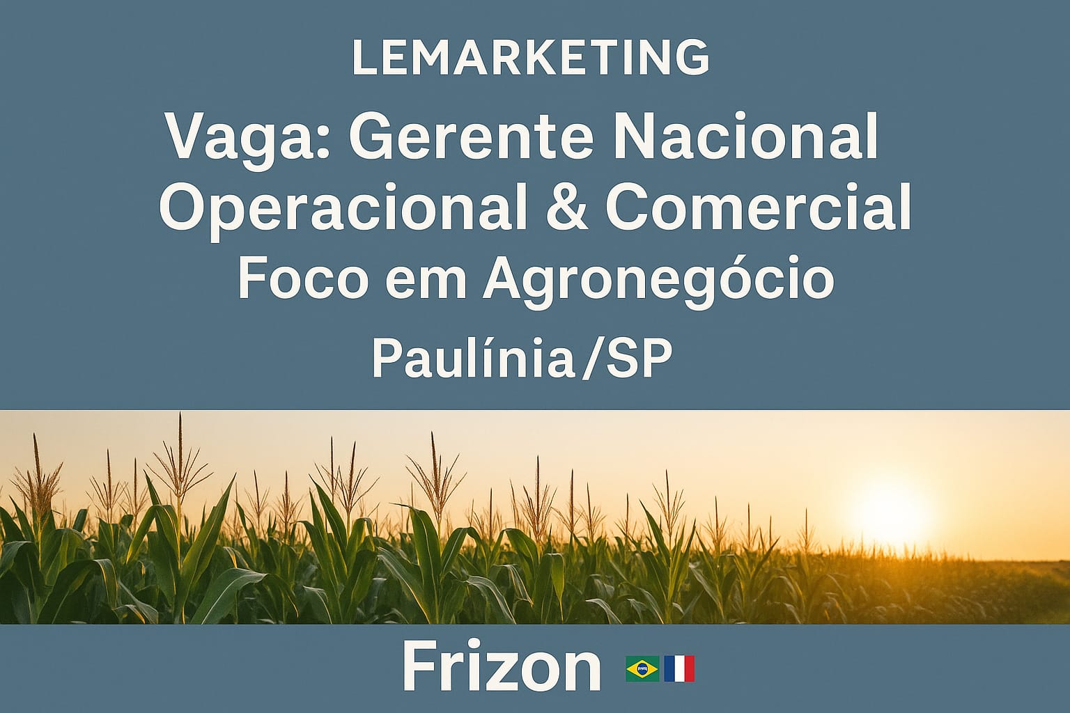 Gerente Nacional Logística Agronegócios Paulínia/SP