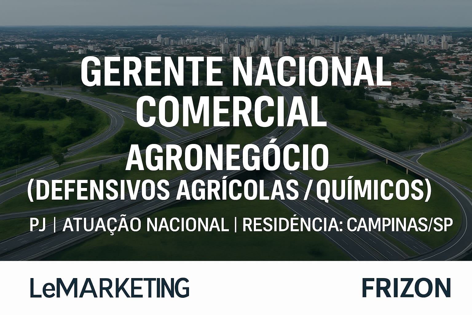 Gerente Nacional Comercial Logística Lotação/Fracionado