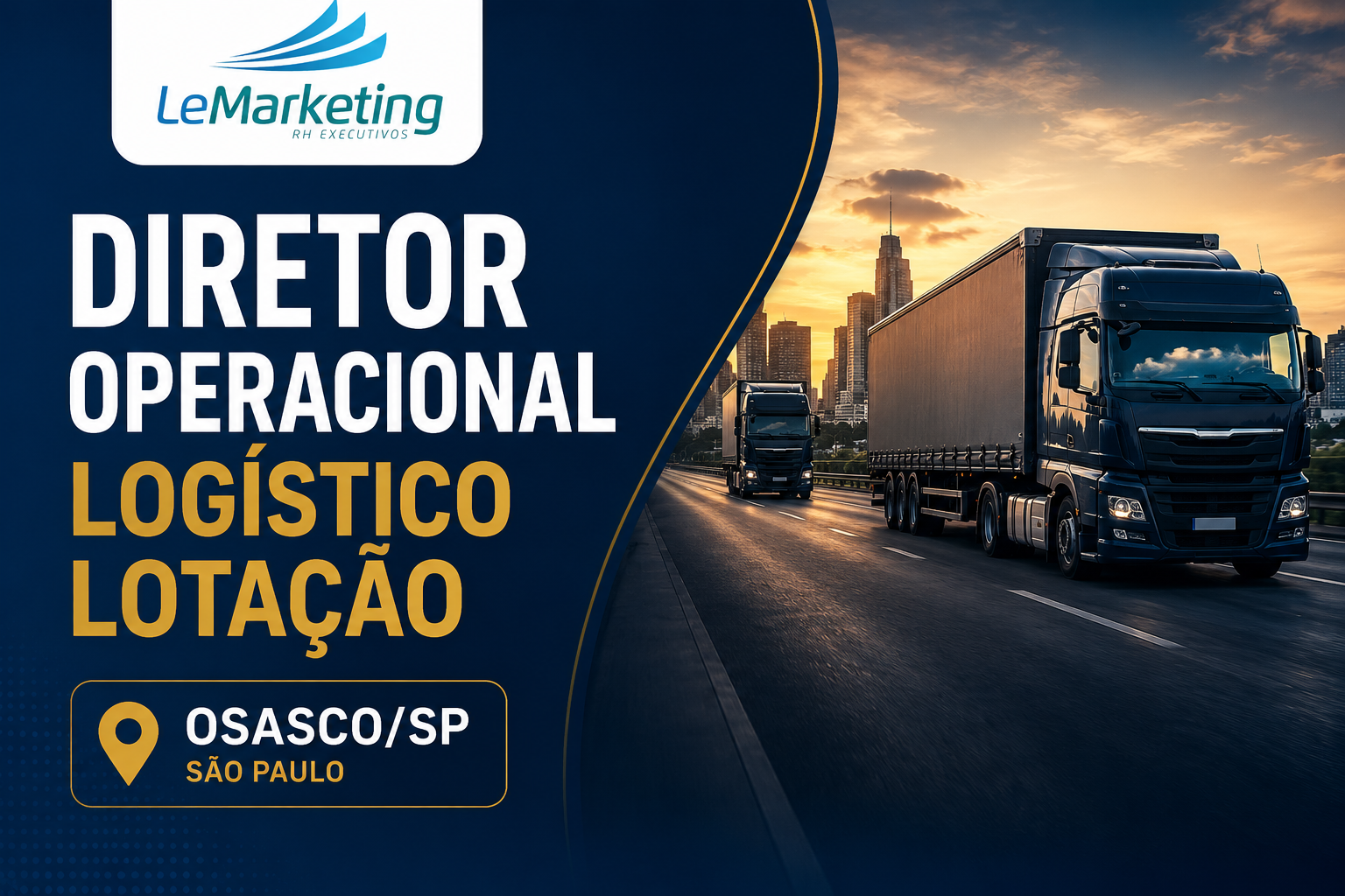 Diretor Operacional Logística Lotação Osasco/SP